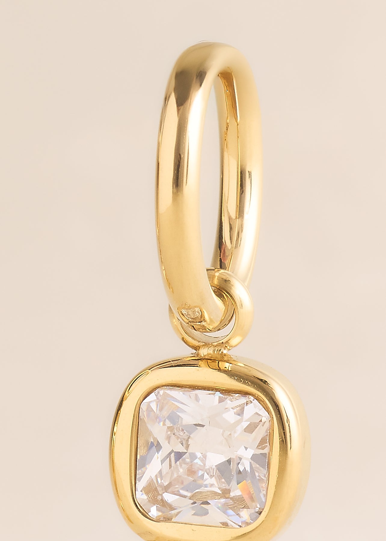 Earrings Tala