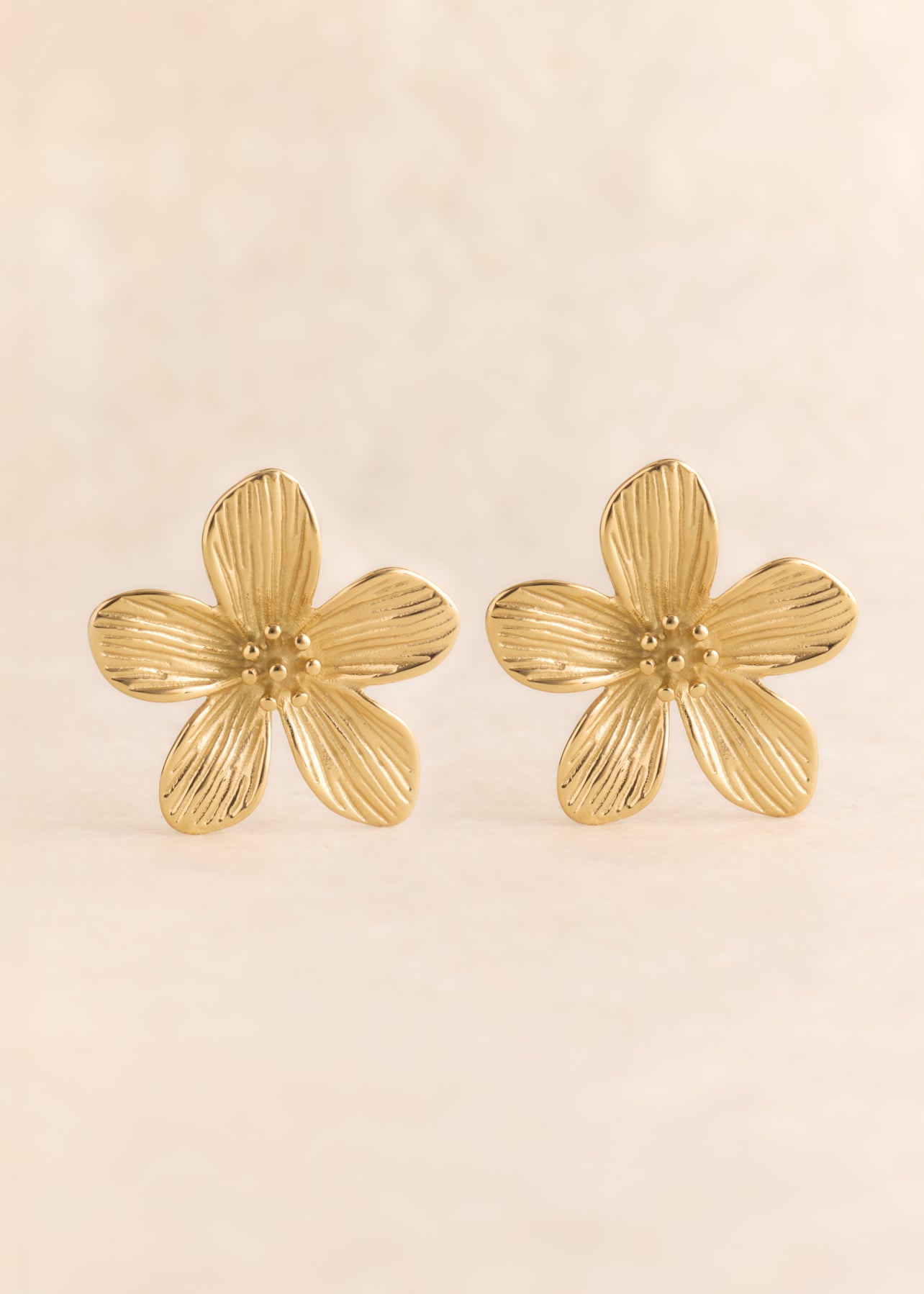 Boucles d'oreilles Loréa