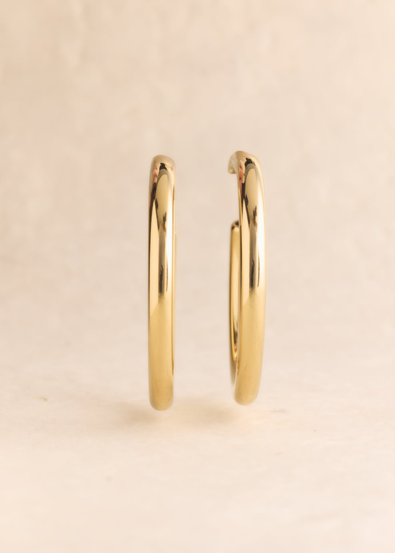 Boucles d'oreilles Agave