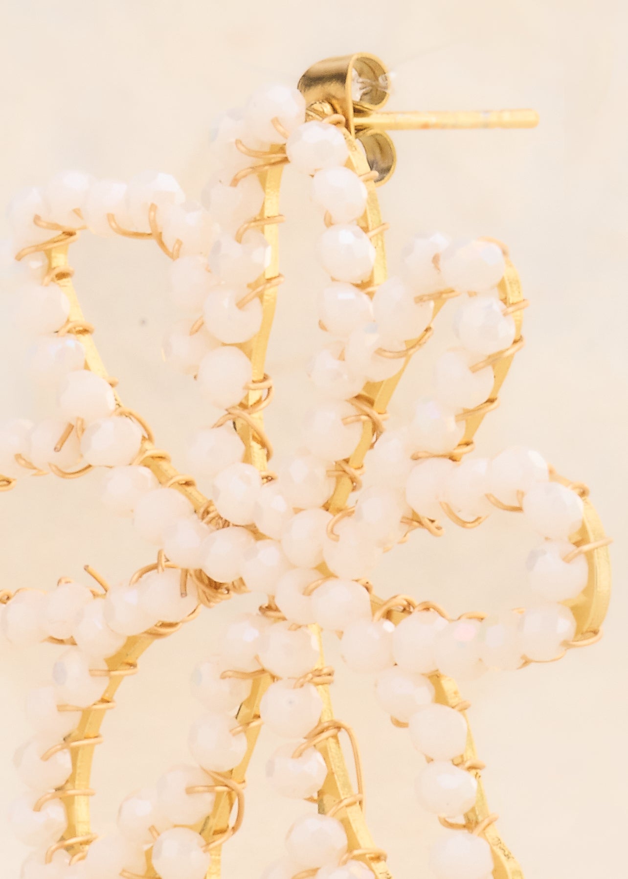 Fon Earrings