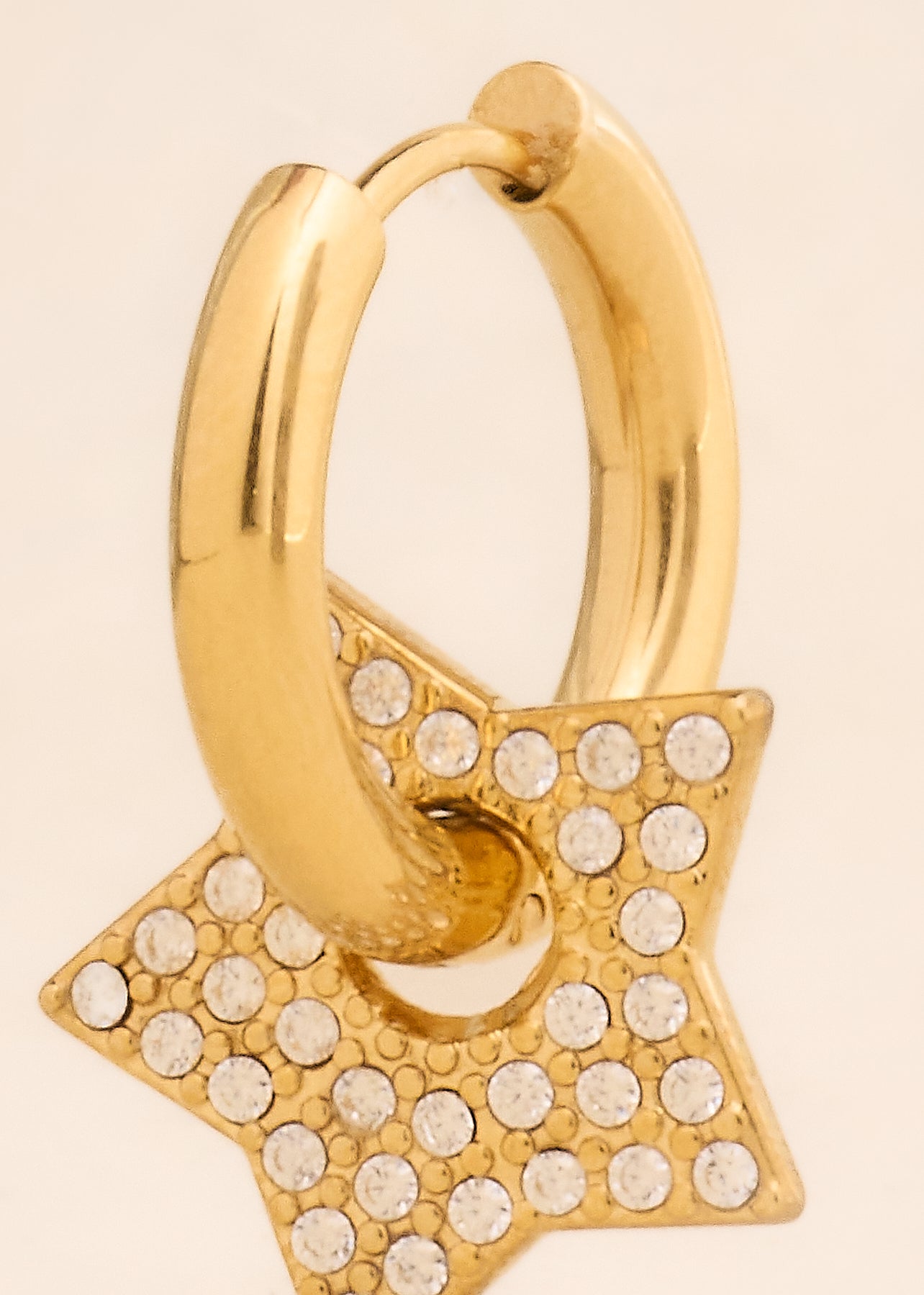 Earrings Lyle