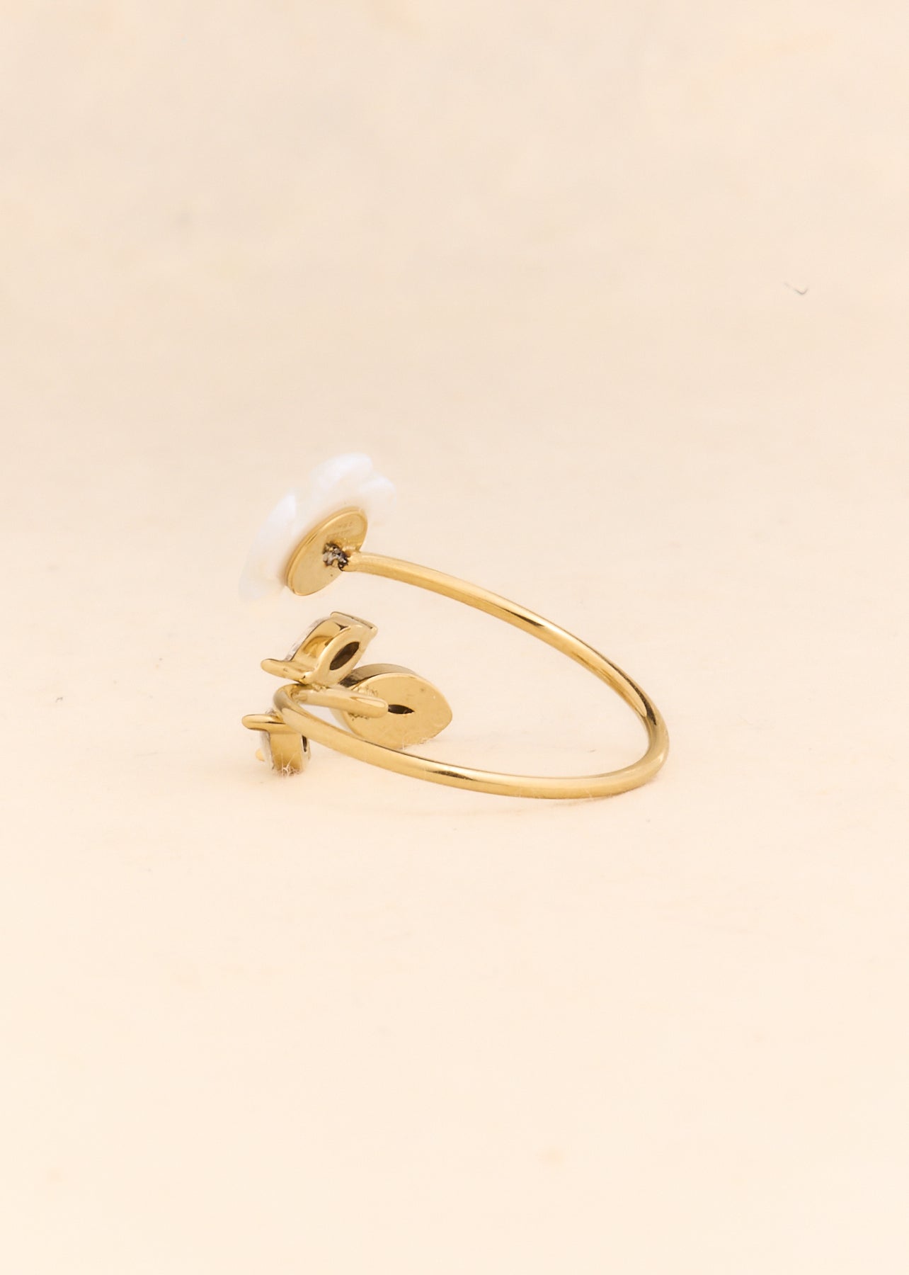 Ring Bora