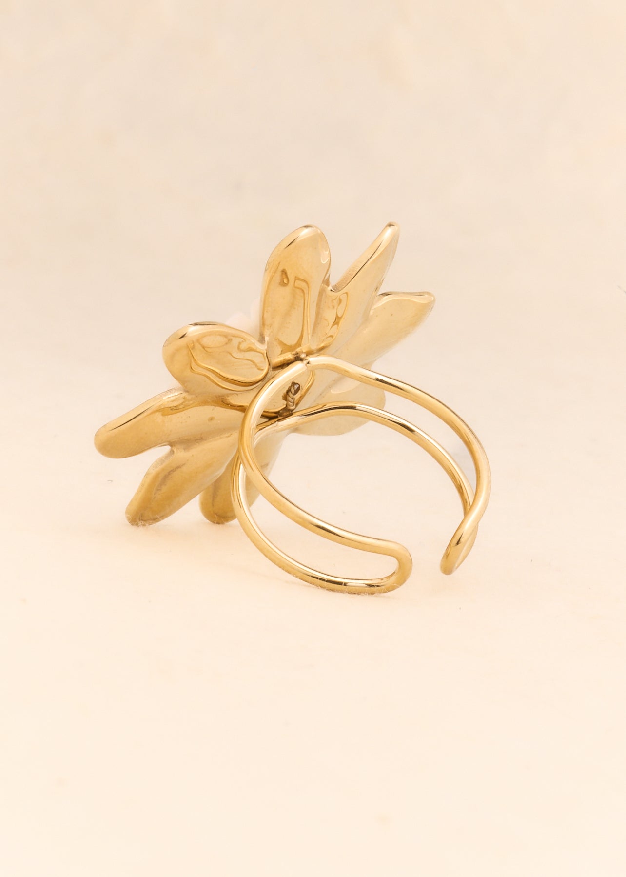 Ring Ruri