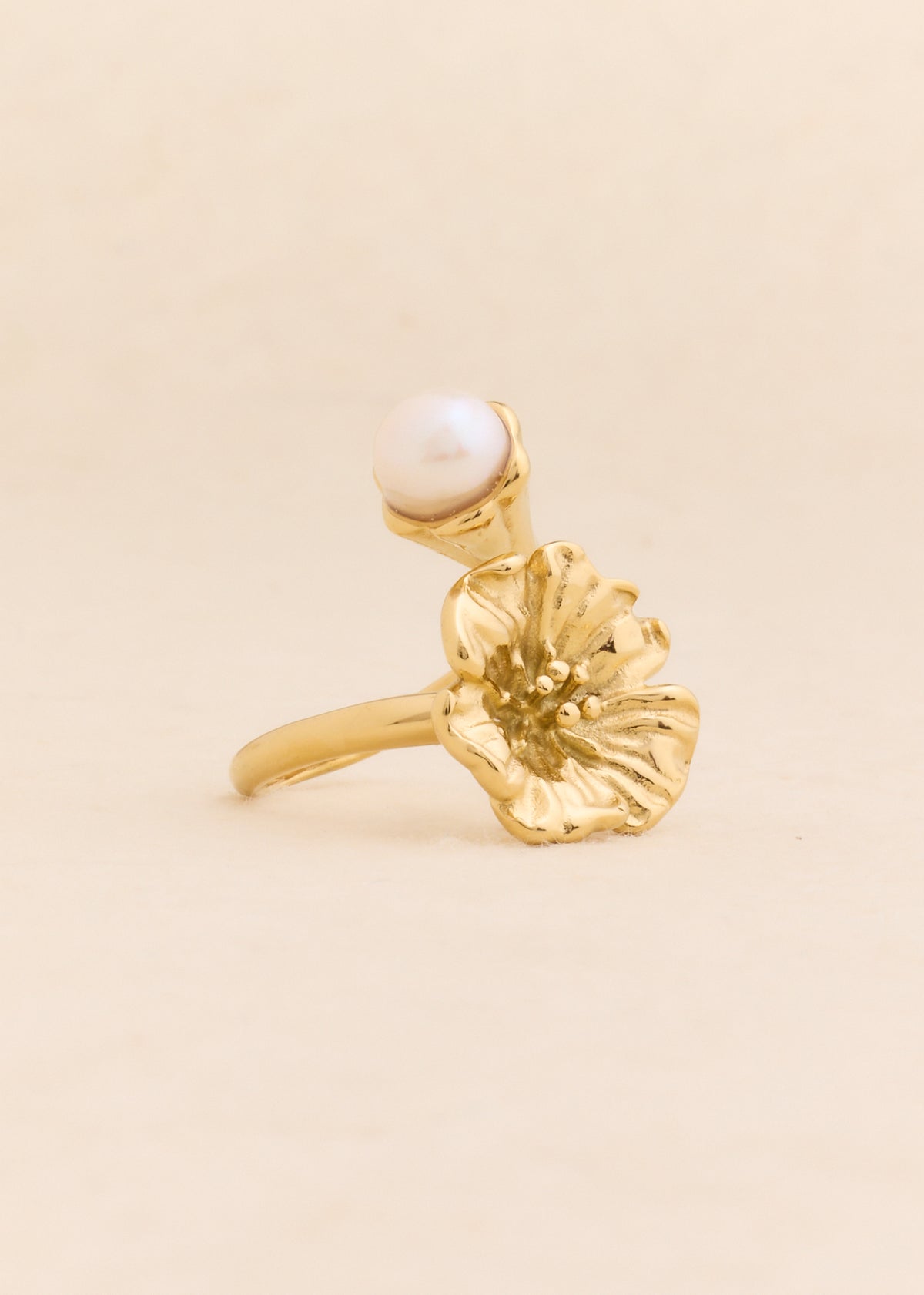 Anillo Ayla