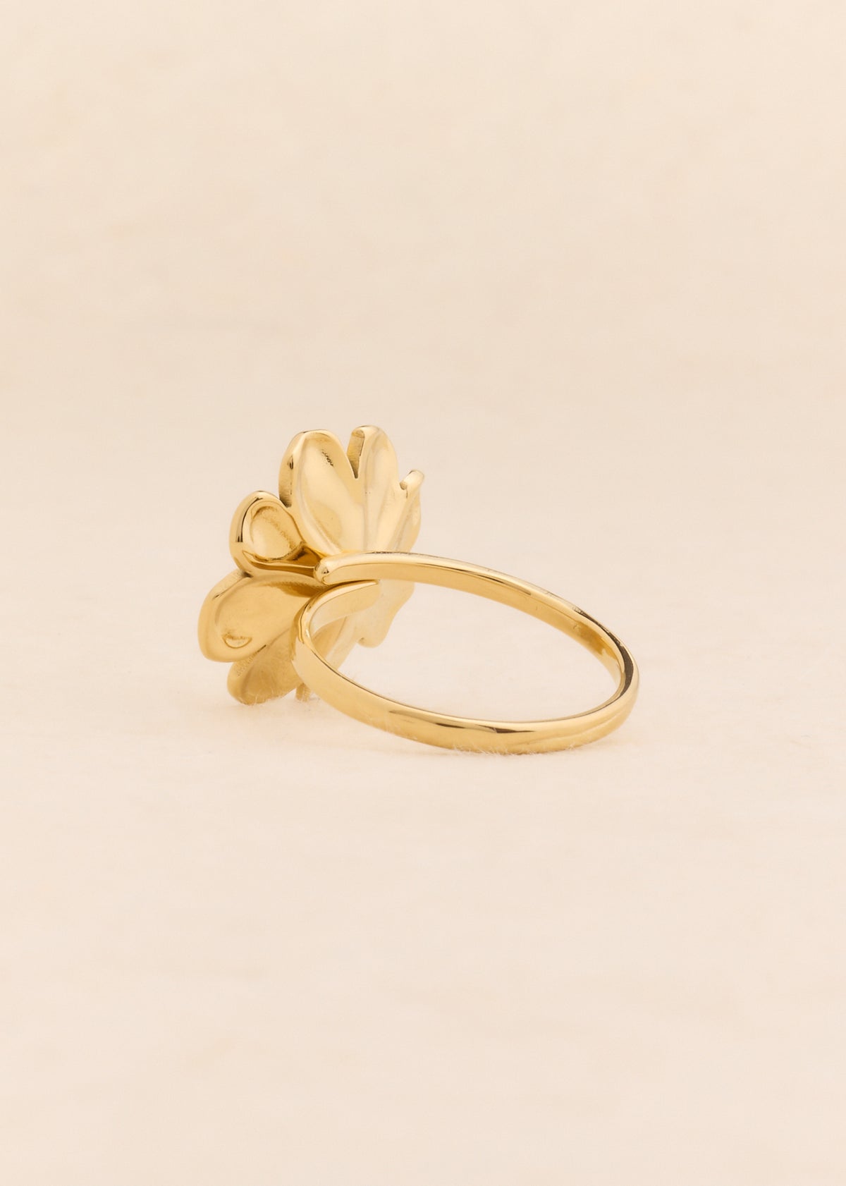 Anillo Zeynep