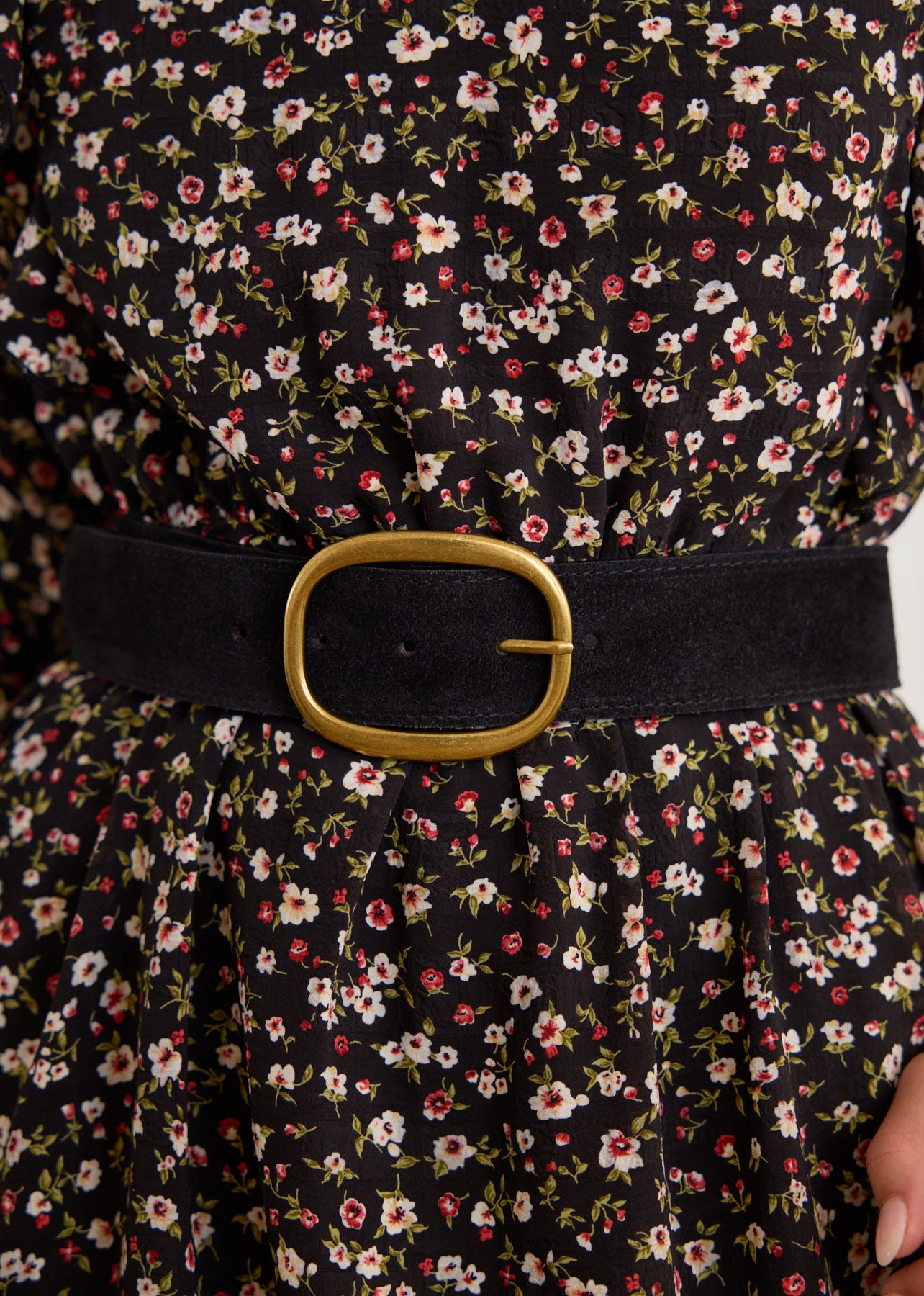 Jill Belt