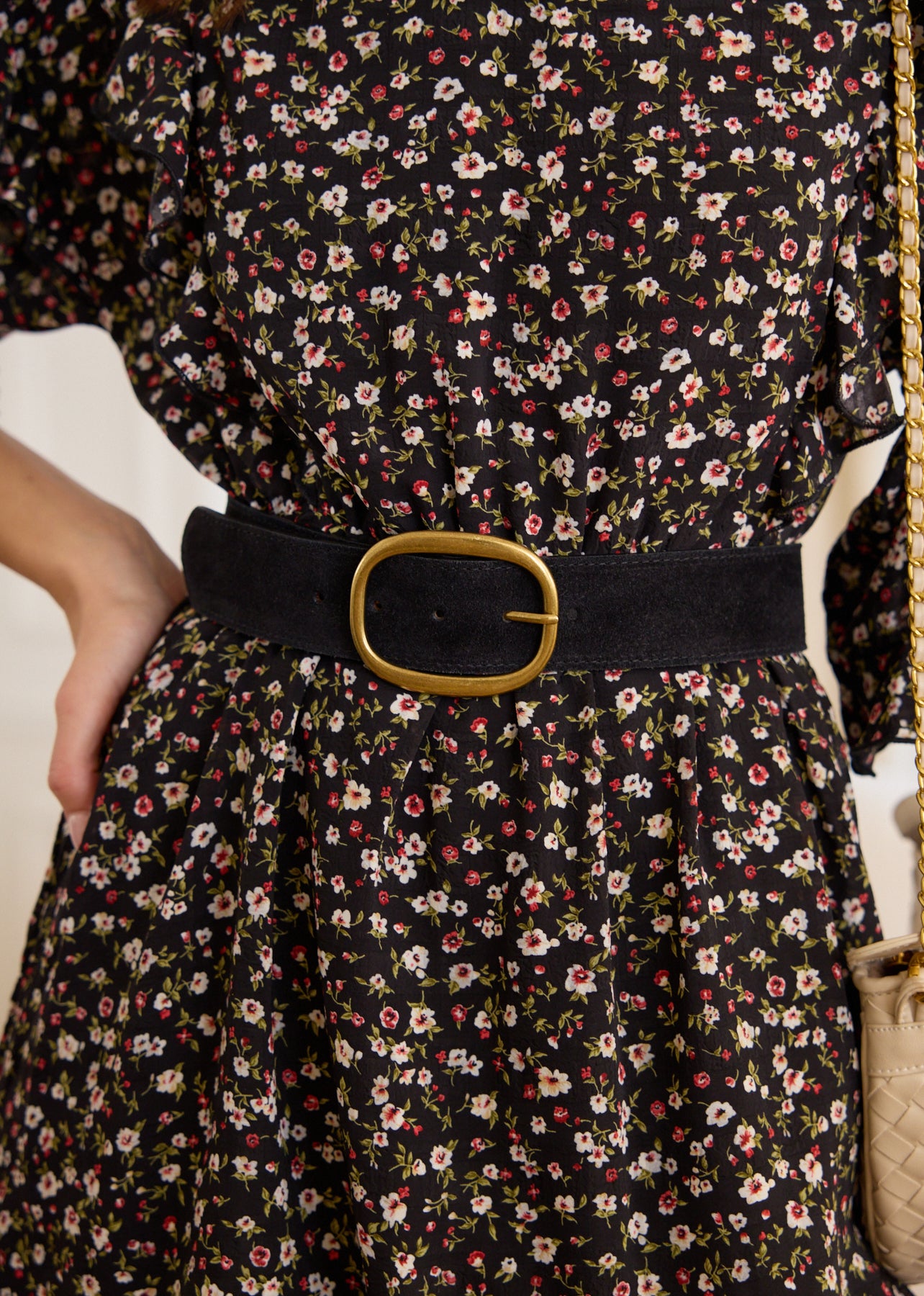 Jill Belt