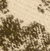 Kaki