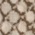 Kaki