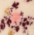 Beige Fleuri