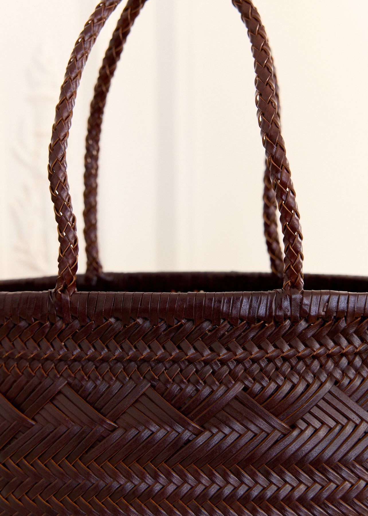 Sac Arya