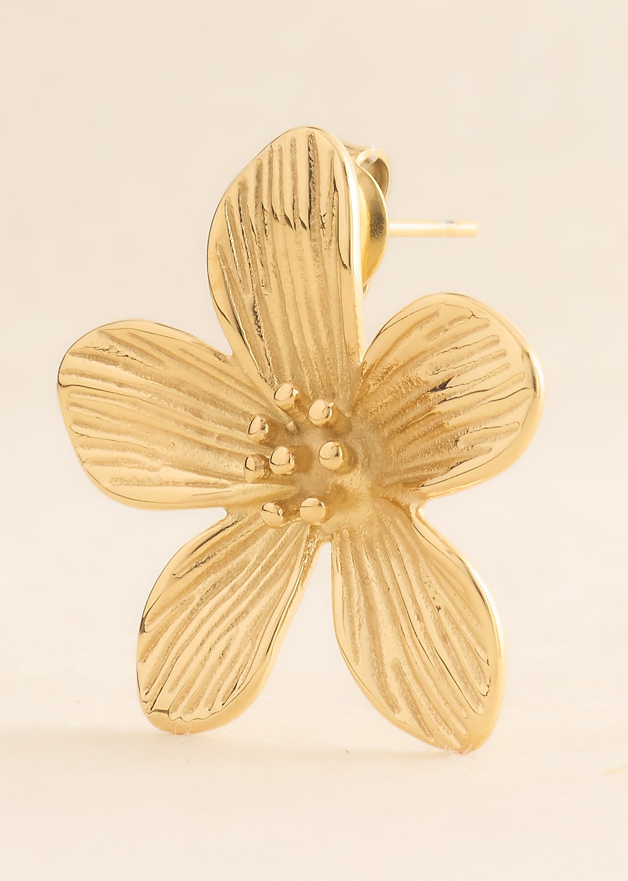 Boucles d'oreilles Loréa