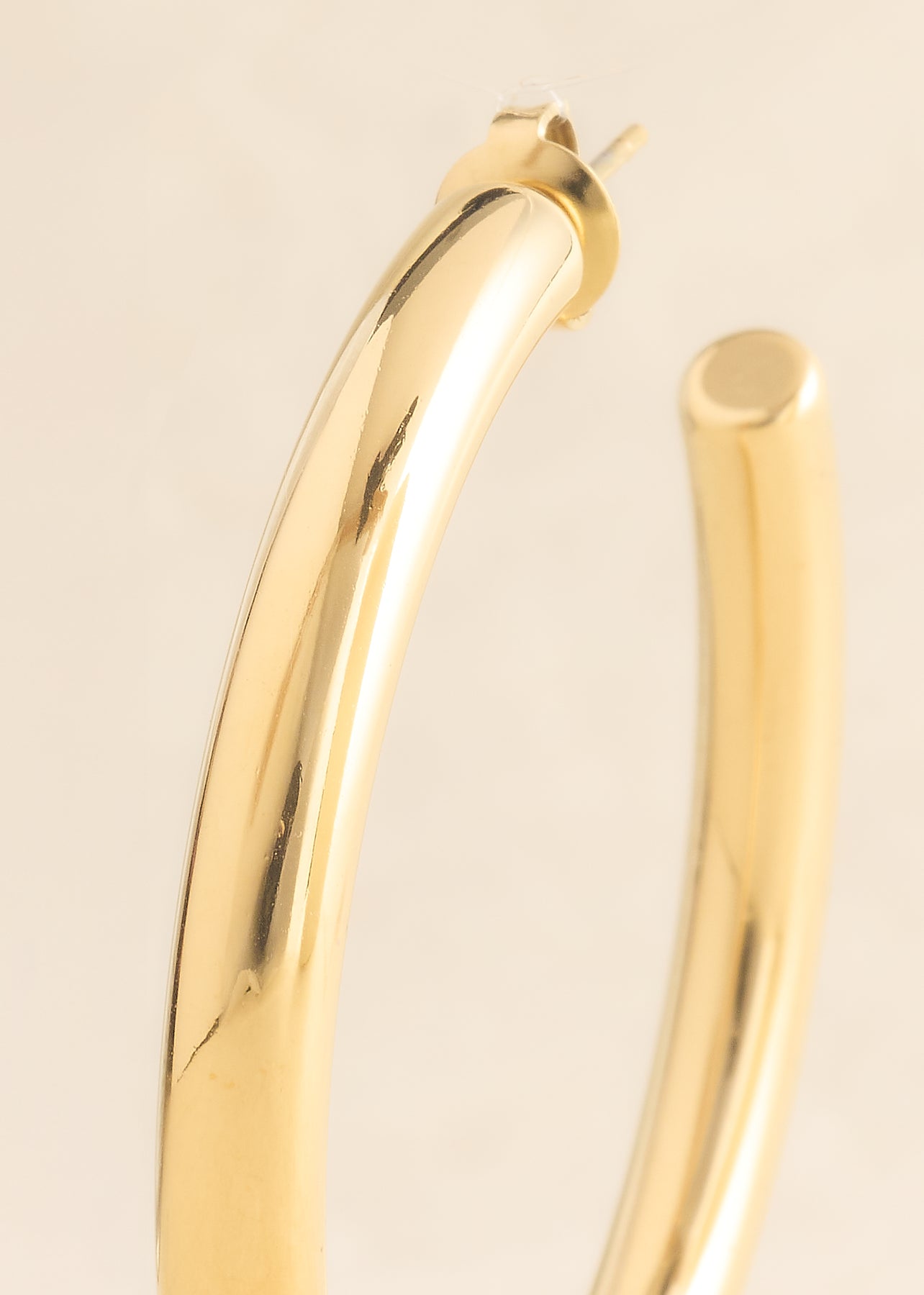 Boucles d'oreilles Agave