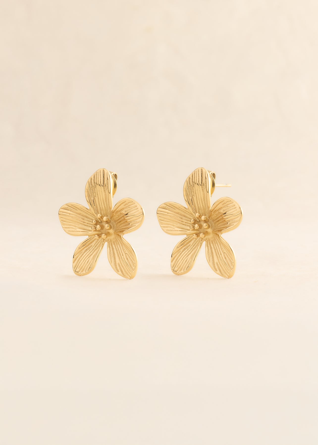 Boucles d'oreilles Loréa