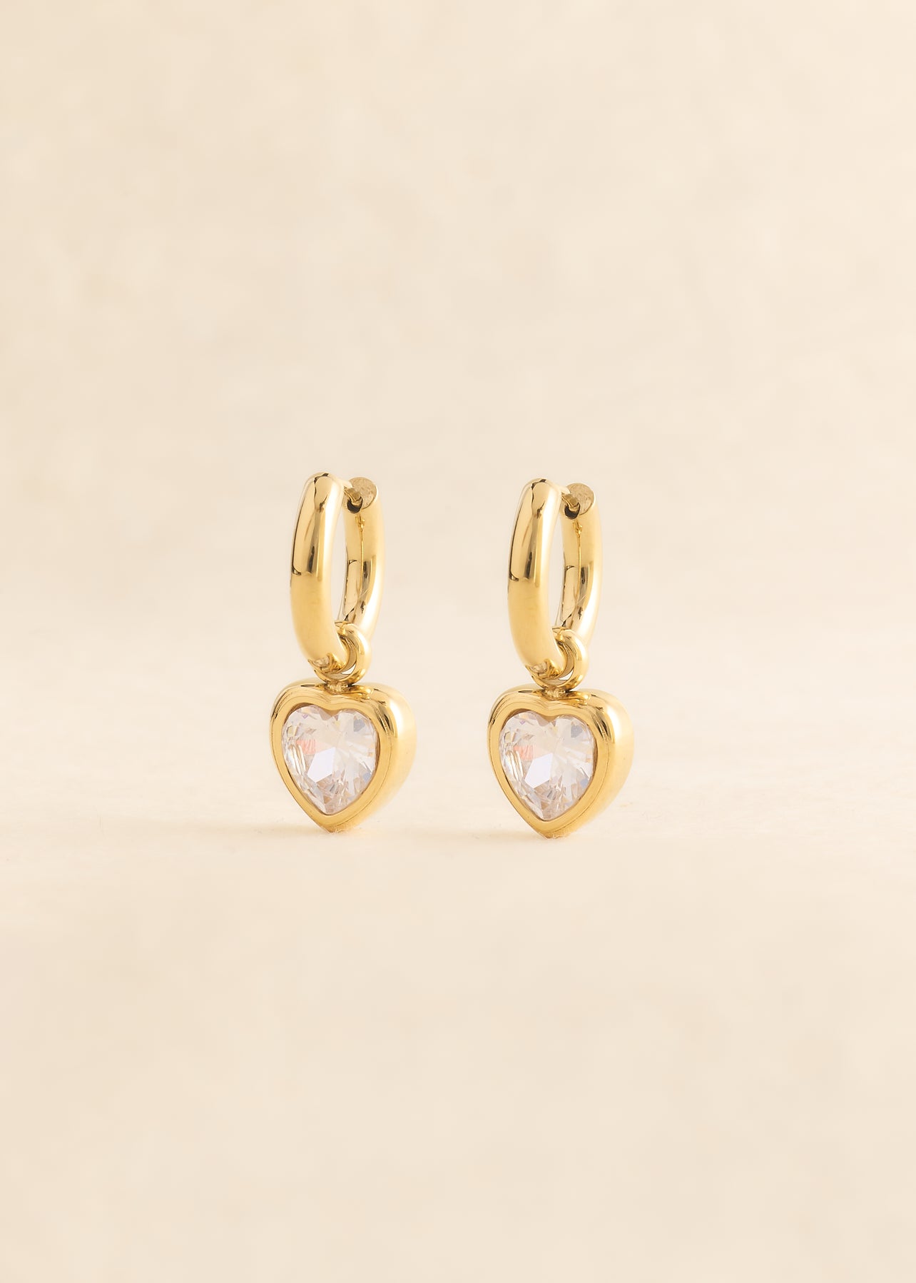 Earrings Dara