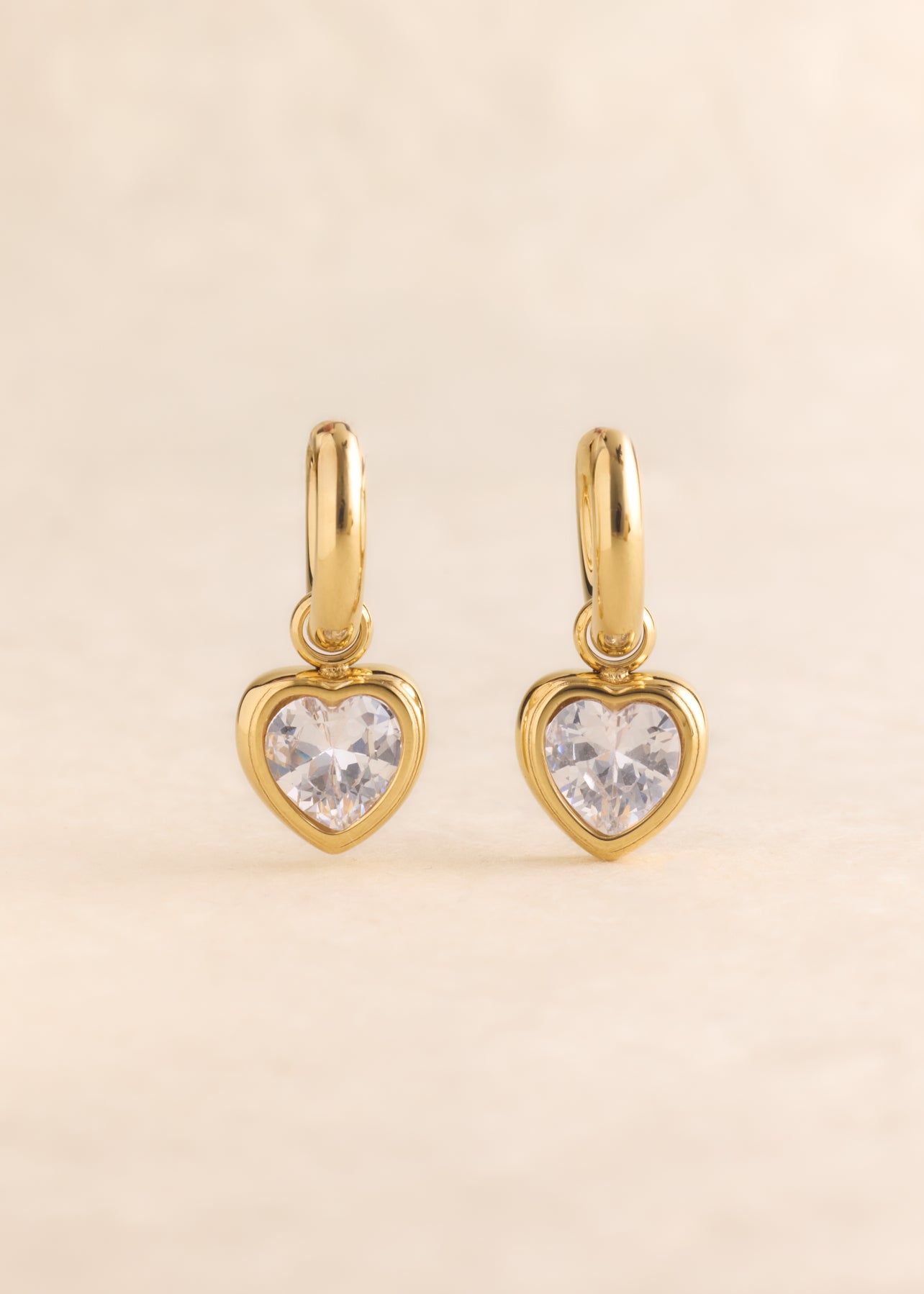 Earrings Dara