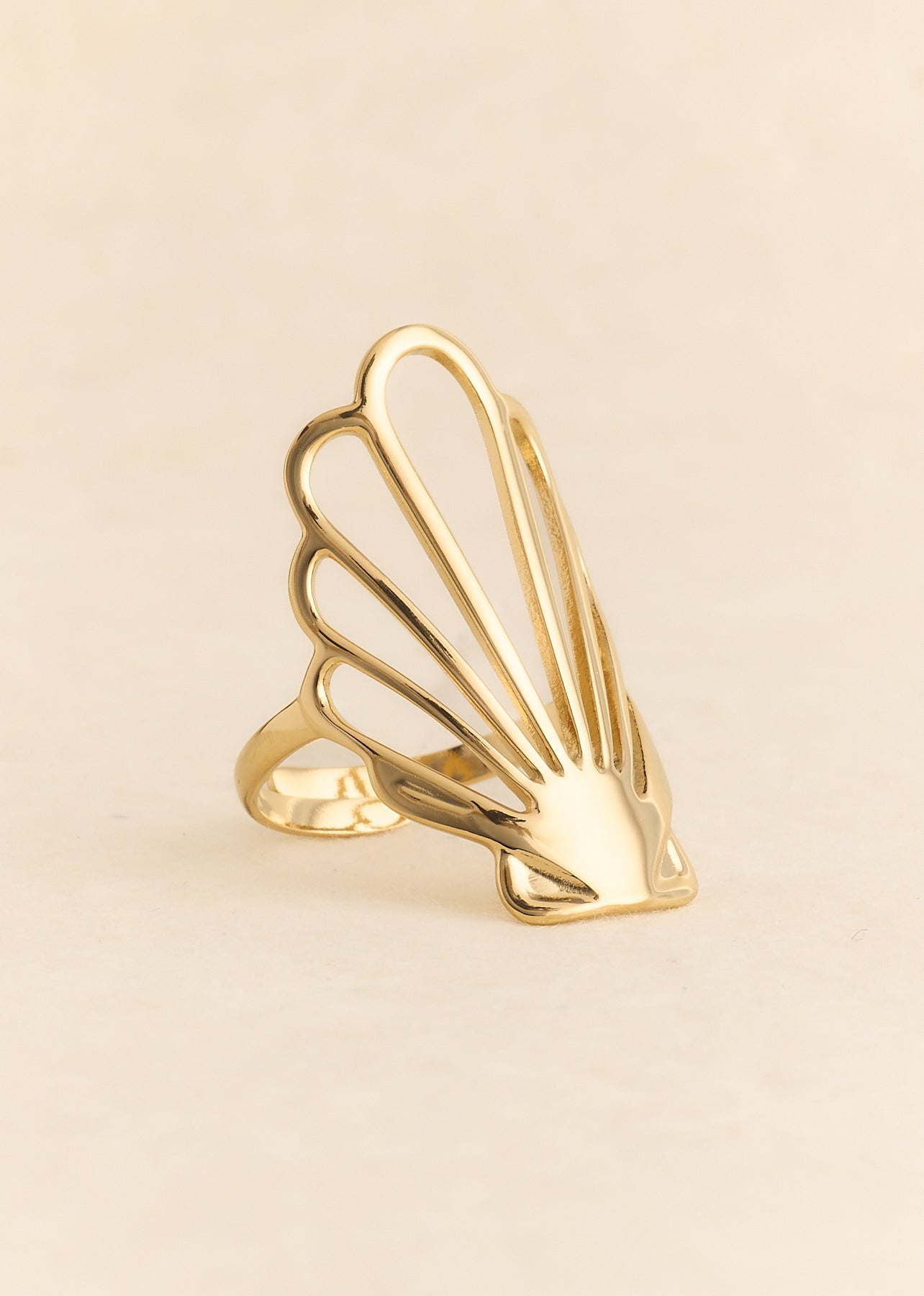 Ring Kifi
