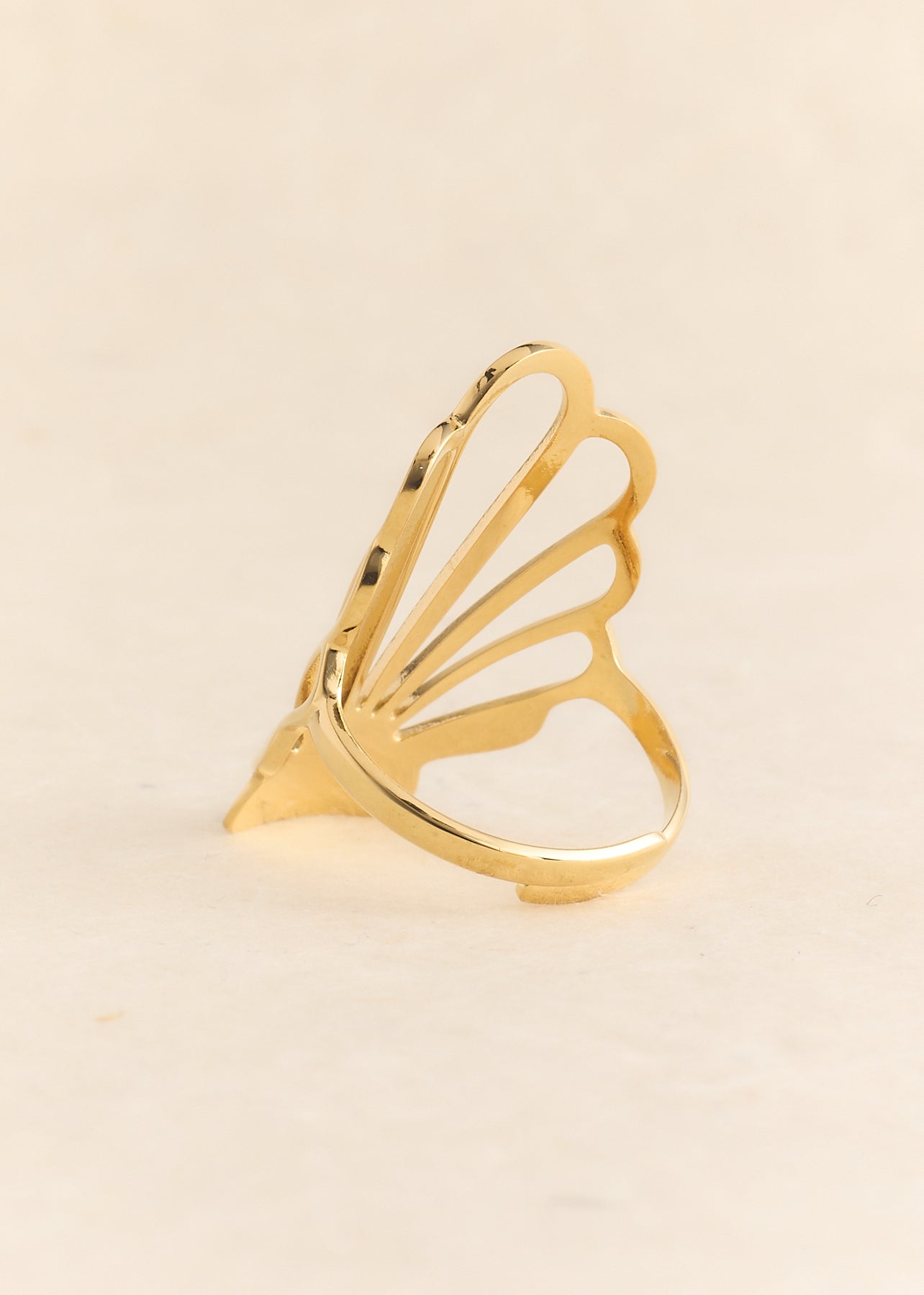 Ring Kifi