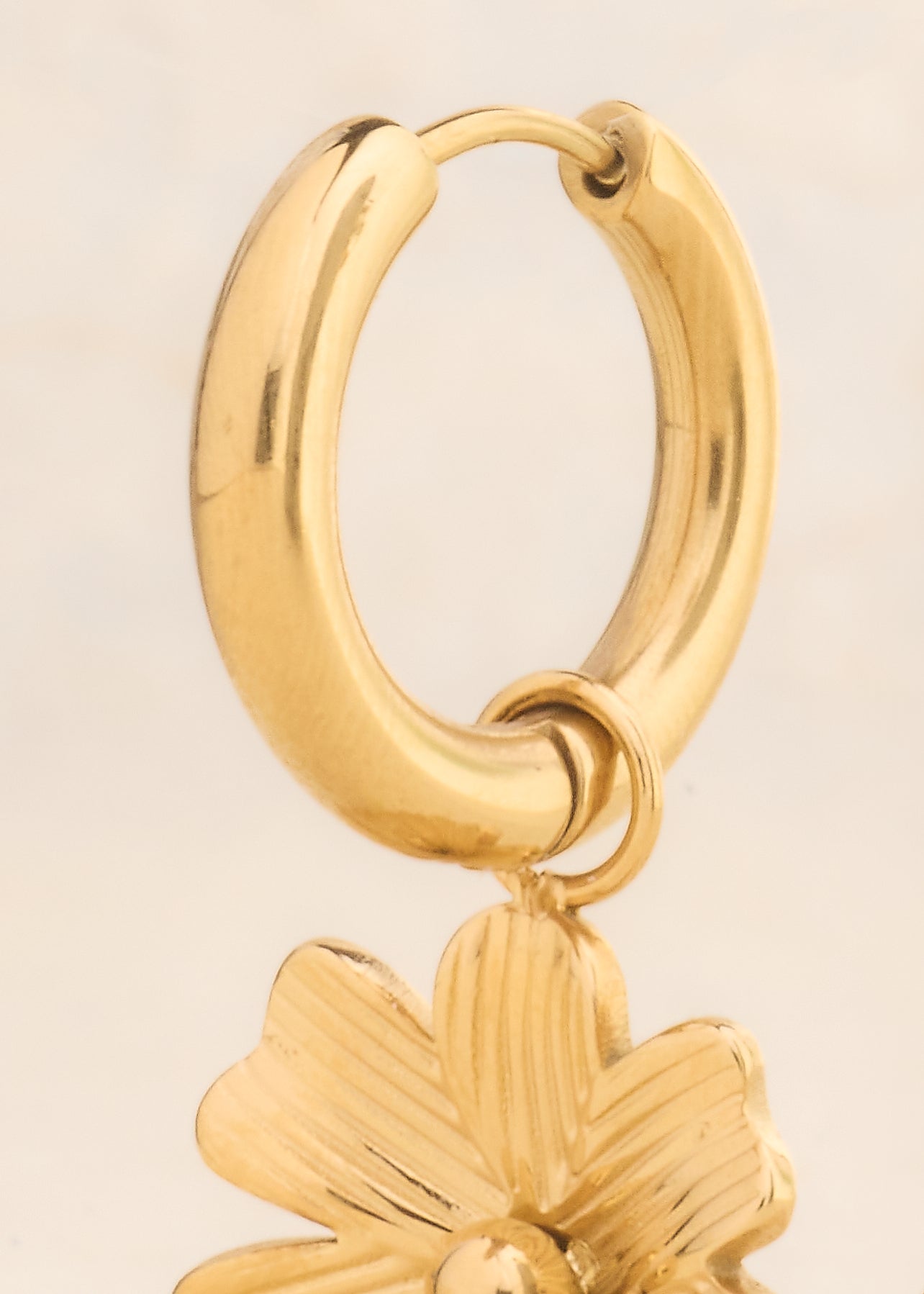 Hailly Earrings