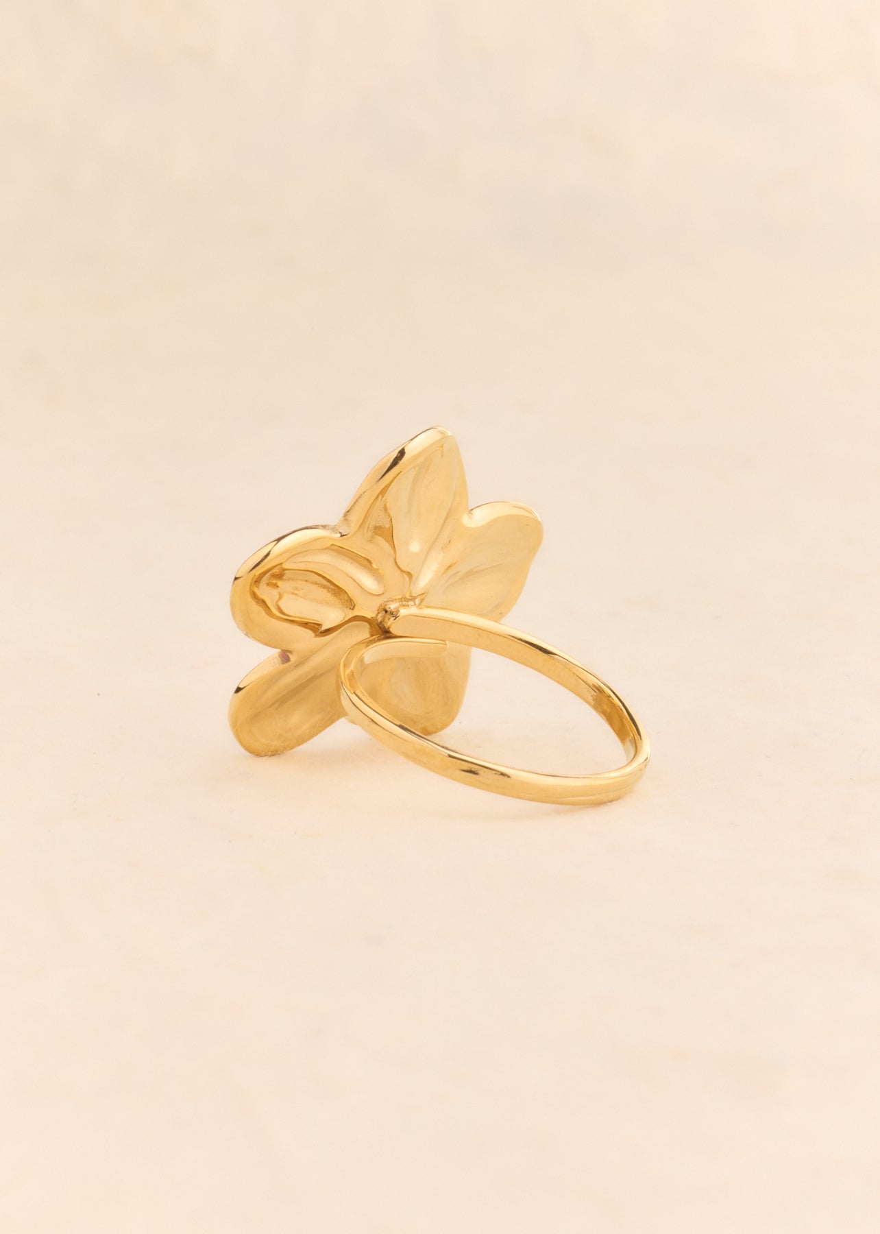 Aseta Ring
