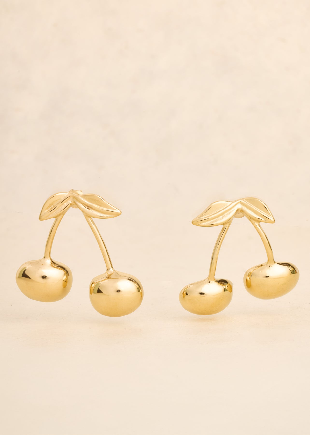 Boucles d'oreilles Precious