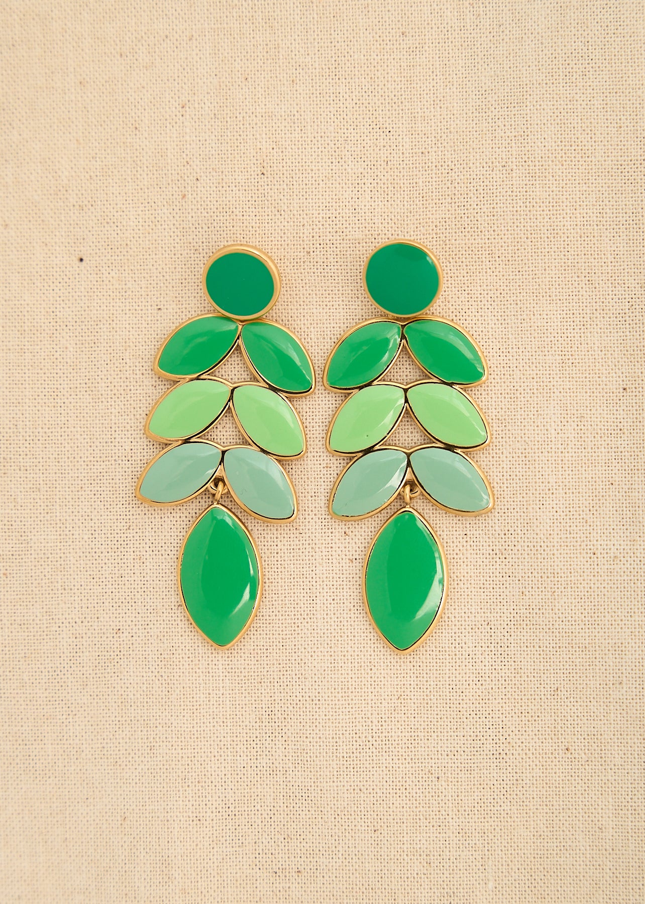 Darwin earrings