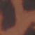 Doré Marron